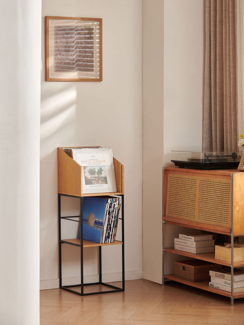 LP Vinyl Stand