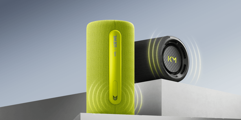 Loewe hear pro