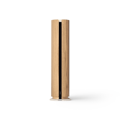 Beosound Emerge