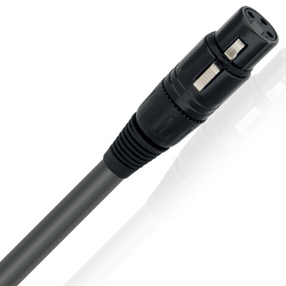 Wireworld equinox 8 xlr