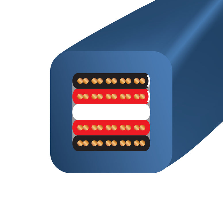 Wireworld oasis 8