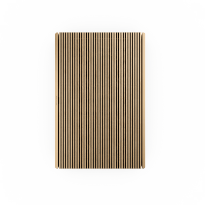 Beosound Level