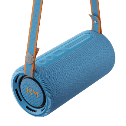 Loewe hear pro