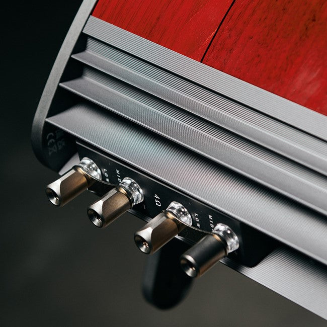 Sonus faber guarneri