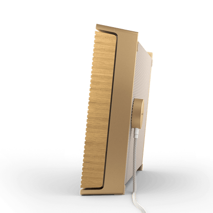 Beosound Level