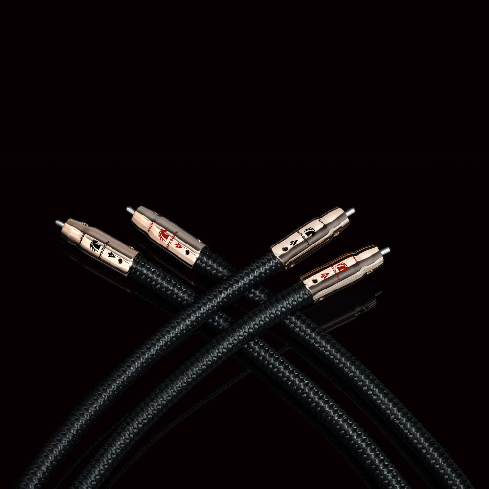 Audioquest black beauty rca