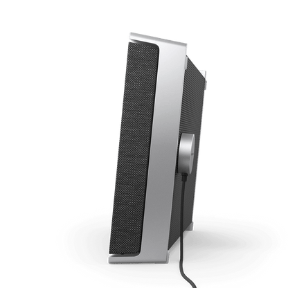 Beosound Level