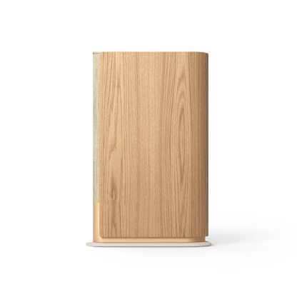 Beosound Emerge