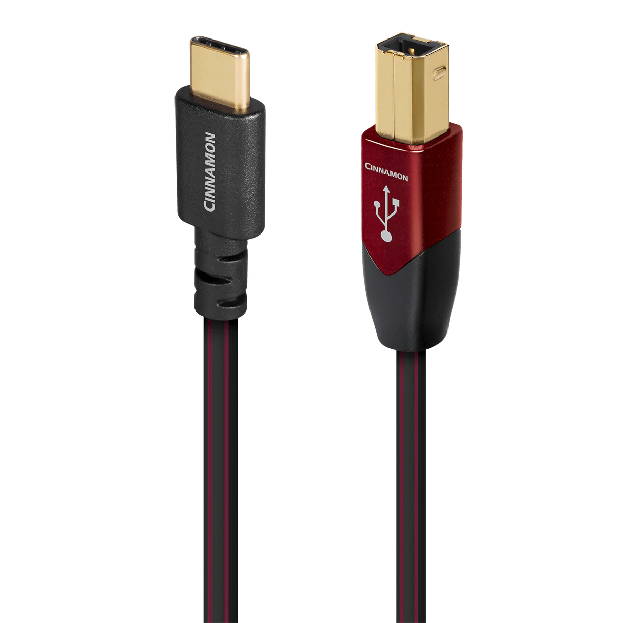 Cinnamon USB