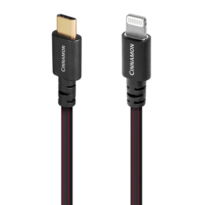Cinnamon USB