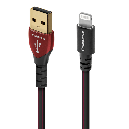 Cinnamon USB