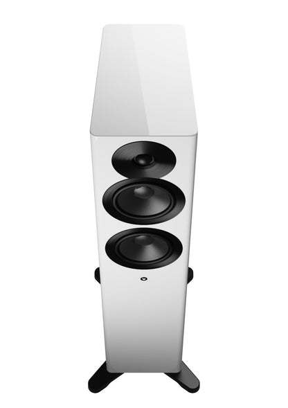 Focus 30