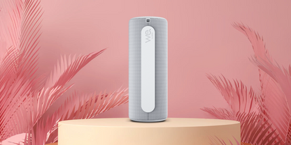 Loewe hear 1