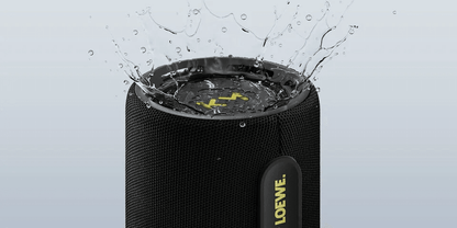 Loewe hear pro