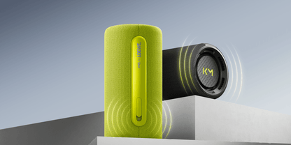 Loewe hear pro