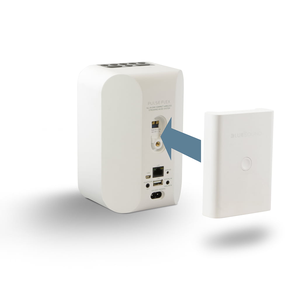 Pulse Flex Battery Pack (BP 100)