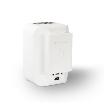 Pulse Flex Battery Pack (BP 100)