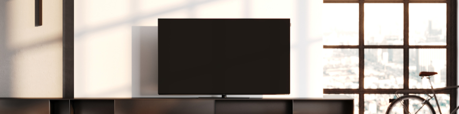Loewe We. SEE 48 oled