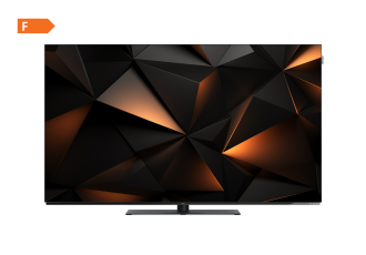 Loewe We. SEE 55 oled