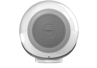 The Pearl Akoya