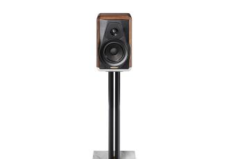 Electa Amator III