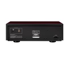 DP-1000 - Foto 2