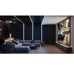 BRAVIA Projector 8 (VPL-XW6100ES) - Foto 10